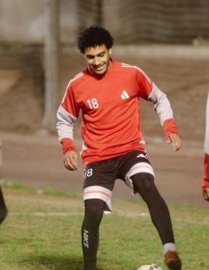 مصطفى ضاحي